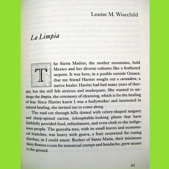 Book - The Sweet Breathing of Plants: Women Writing on the Green World - Picture 4 of 16